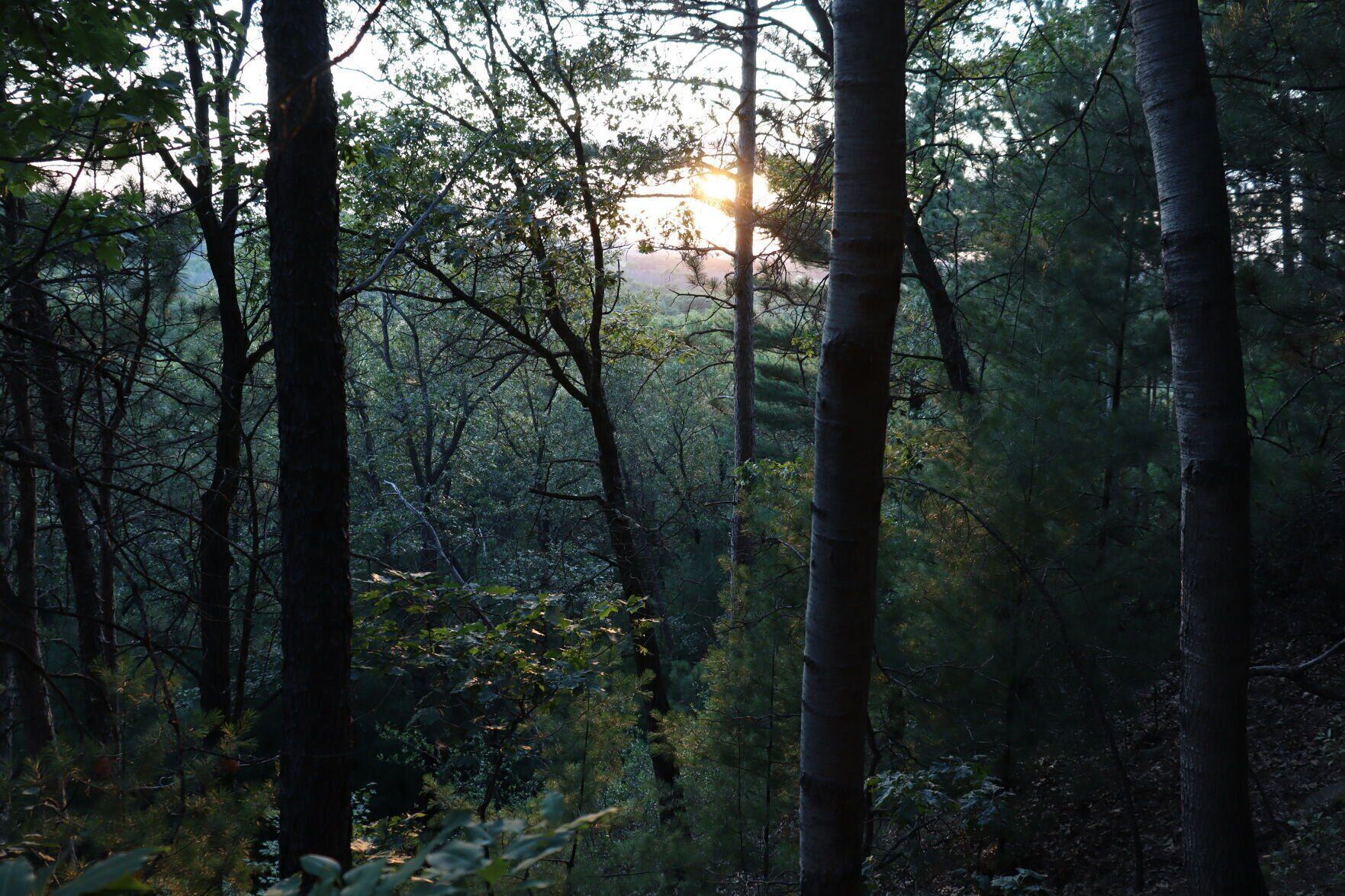 Mill Bluff State Park